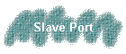 Slave Port